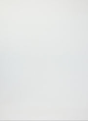 JOANA Dress